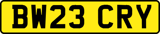 BW23CRY