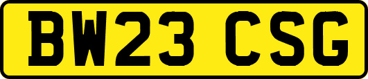 BW23CSG