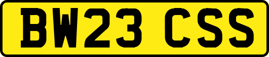 BW23CSS