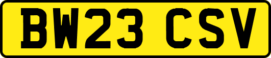 BW23CSV