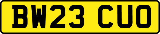 BW23CUO