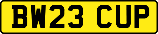 BW23CUP