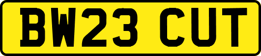 BW23CUT
