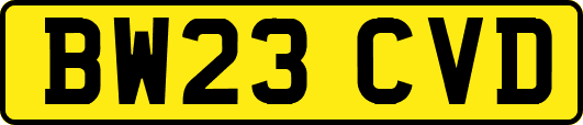 BW23CVD