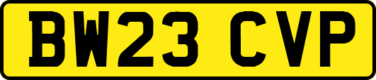 BW23CVP
