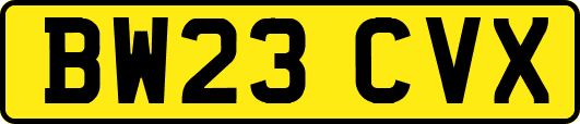 BW23CVX