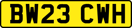 BW23CWH