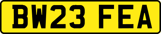 BW23FEA