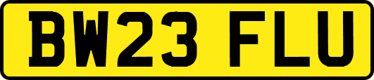 BW23FLU