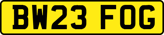 BW23FOG