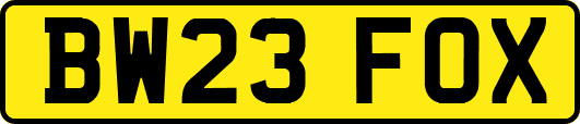 BW23FOX
