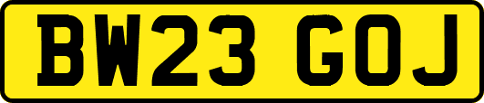 BW23GOJ