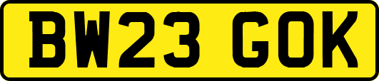 BW23GOK