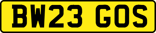 BW23GOS