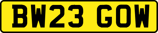 BW23GOW