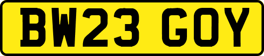 BW23GOY