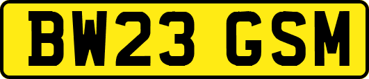 BW23GSM