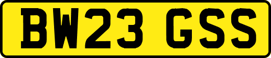 BW23GSS