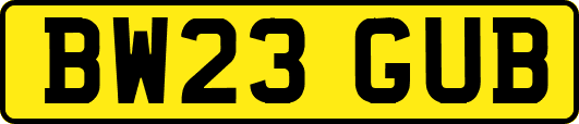 BW23GUB