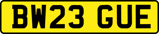 BW23GUE