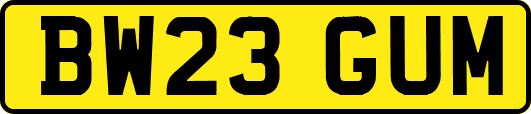 BW23GUM