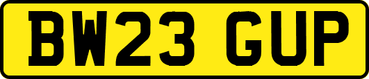 BW23GUP
