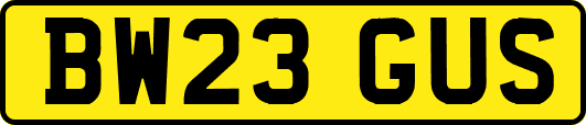 BW23GUS