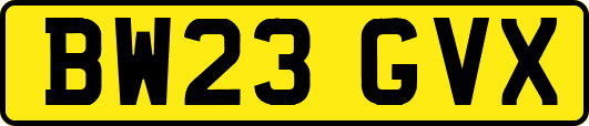 BW23GVX