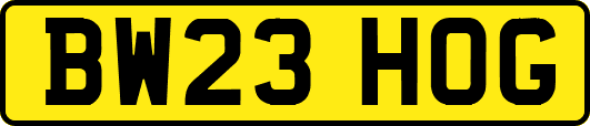 BW23HOG