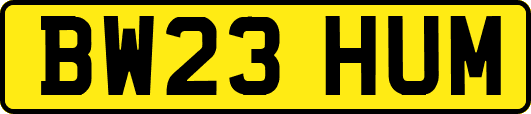 BW23HUM