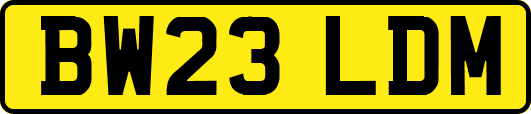 BW23LDM