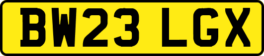 BW23LGX