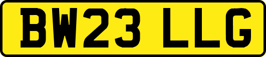 BW23LLG
