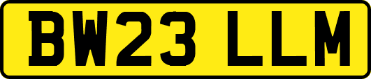 BW23LLM