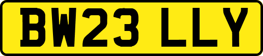 BW23LLY