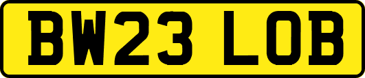 BW23LOB