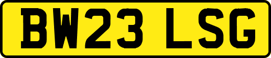 BW23LSG