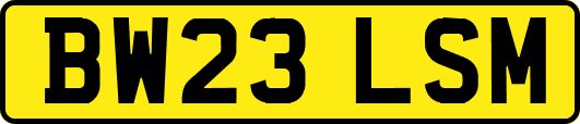 BW23LSM
