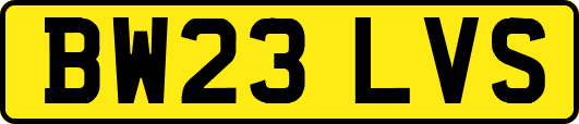 BW23LVS