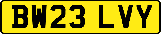 BW23LVY