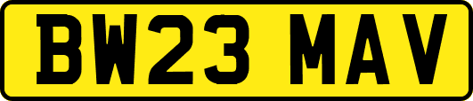 BW23MAV