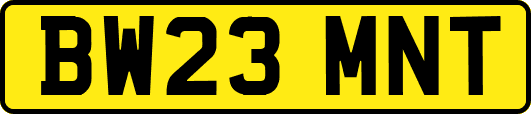 BW23MNT