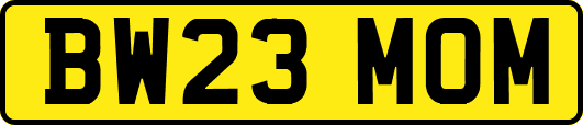 BW23MOM