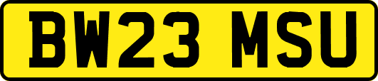 BW23MSU