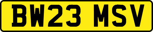 BW23MSV