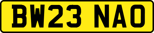 BW23NAO