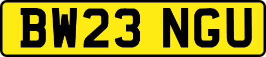 BW23NGU