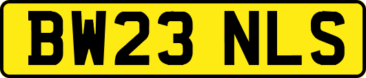 BW23NLS