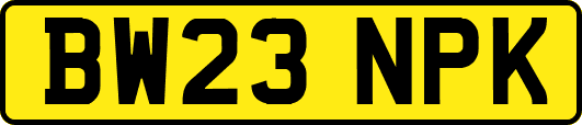 BW23NPK