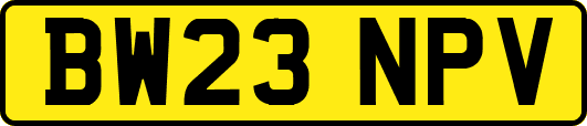 BW23NPV